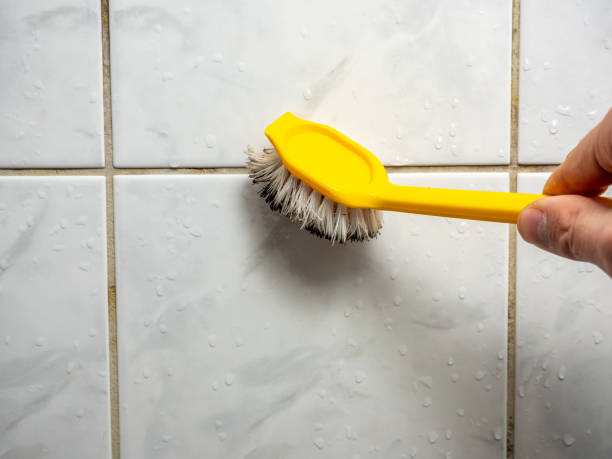 Best Mold Testing and Removal  in Anderson, IN