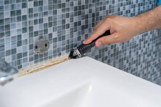 Best Mold Cleaning Services  in Anderson, IN