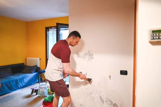Best Black Mold Removal  in Anderson, IN
